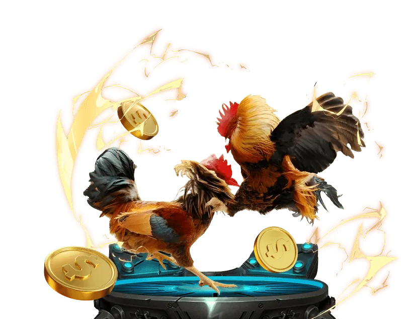 Chương Trình Hoàn Trả Hấp Dẫn Mỗi Ngày